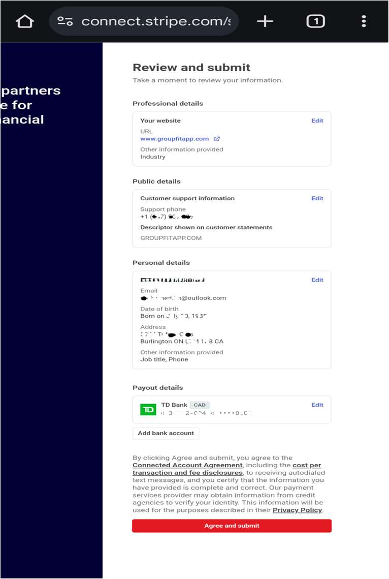 Stripe review and submit page
